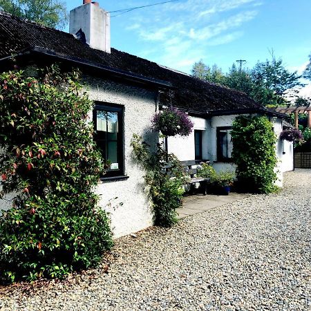 The Wicklow Escape (Adults Only) Donard Luaran gambar