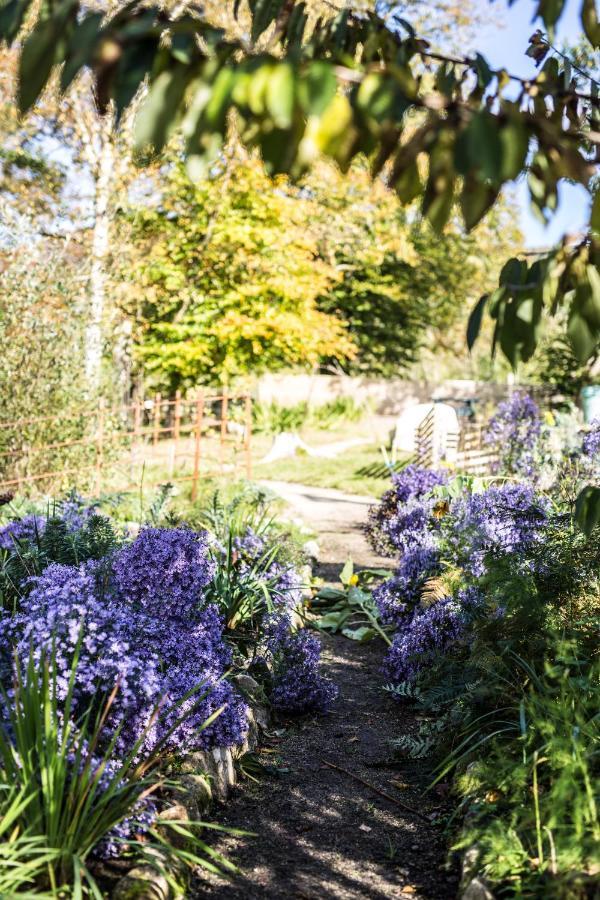 The Wicklow Escape (Adults Only) Donard Luaran gambar