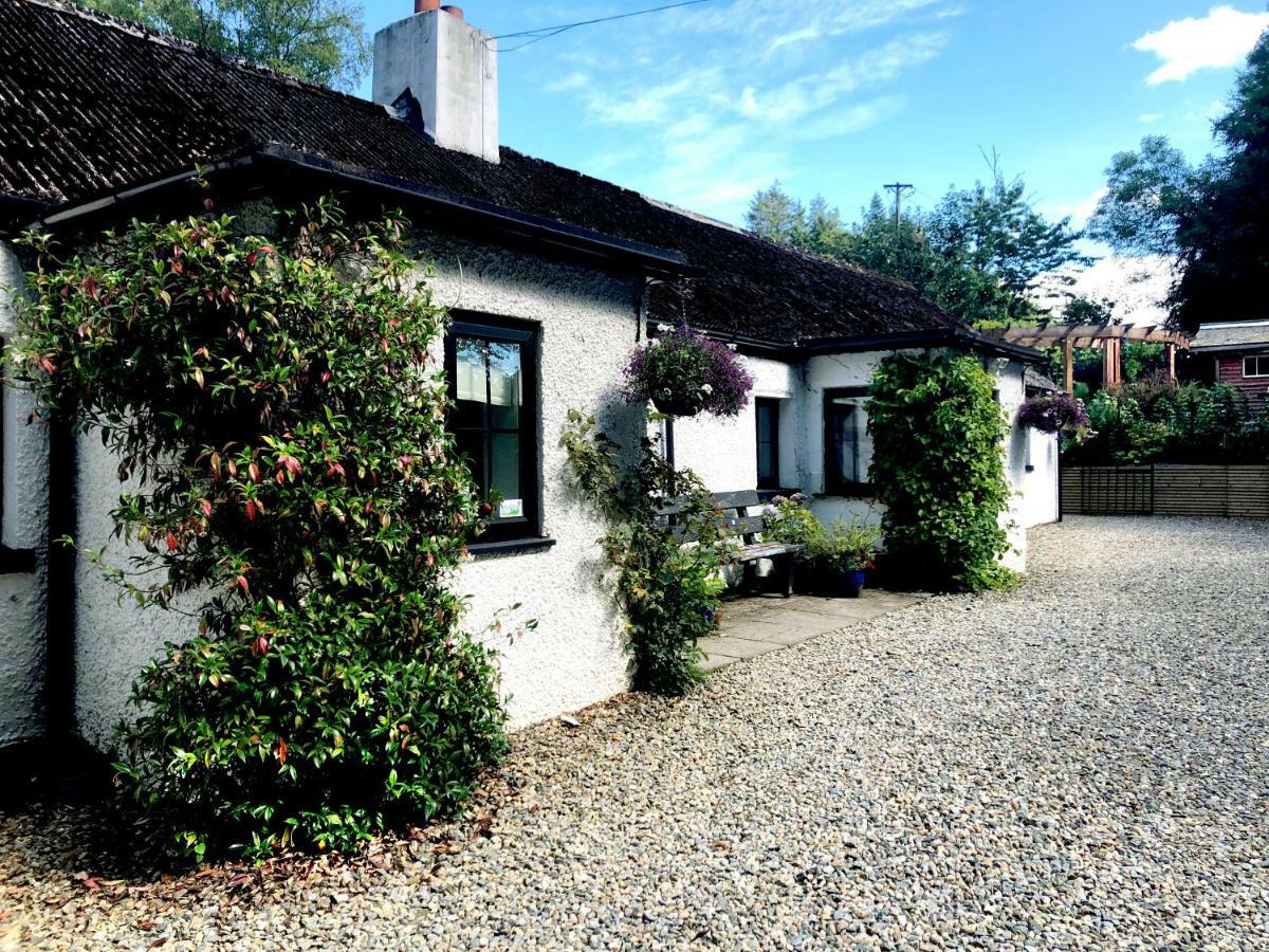 The Wicklow Escape (Adults Only) Donard Luaran gambar