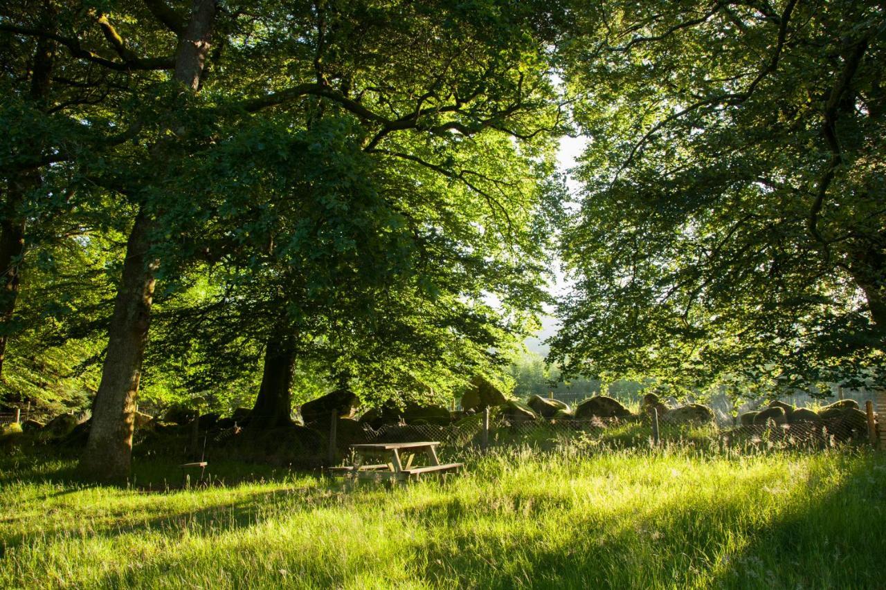 The Wicklow Escape (Adults Only) Donard Luaran gambar